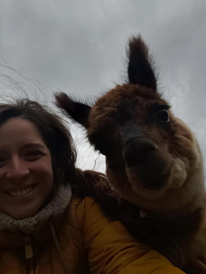 Glamping Patagonia Nativa Rural Hotel Coyhaique Kültér fotó