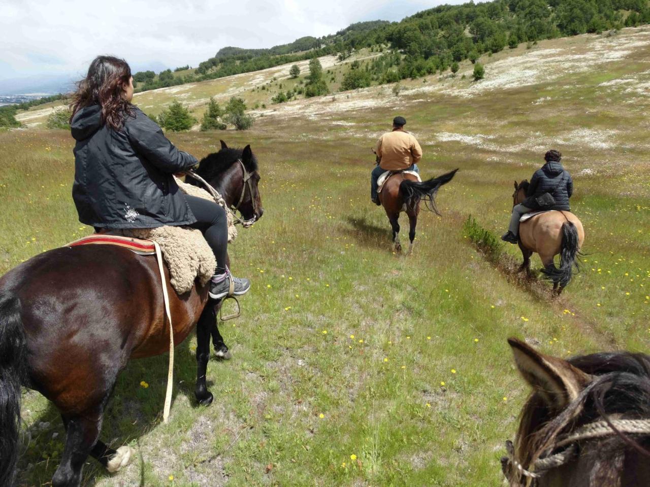 Glamping Patagonia Nativa Rural Hotel Coyhaique Kültér fotó